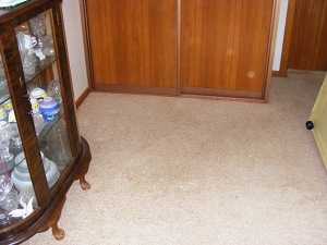 The spare bedroom is the only room with old carpet still in it