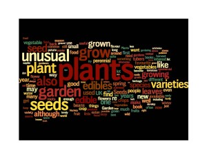Wordle image of the words contained within the book Jade Pearls and Alien Eyeballs