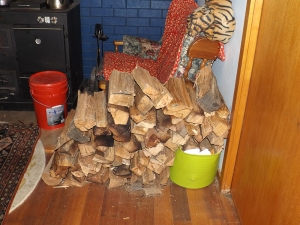 An indication of how low I sunk today hunting for blog photos...this is Brunhilda's hot toasty log stash and Steve's quince wine (red bucket) basking in her warmth