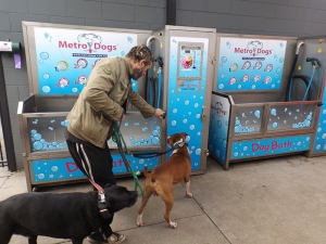 Steve explaining to the dogs what a "Dog Wash" is...